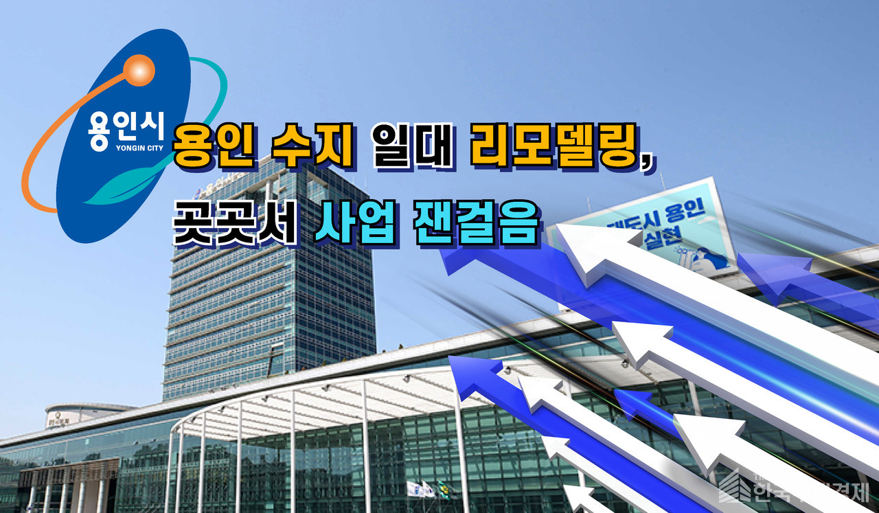 [그래픽=홍영주 기자]