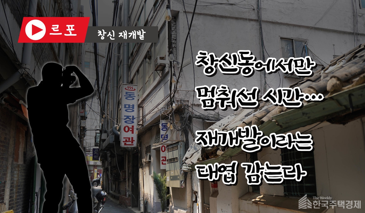 [그래픽=홍영주 기자]