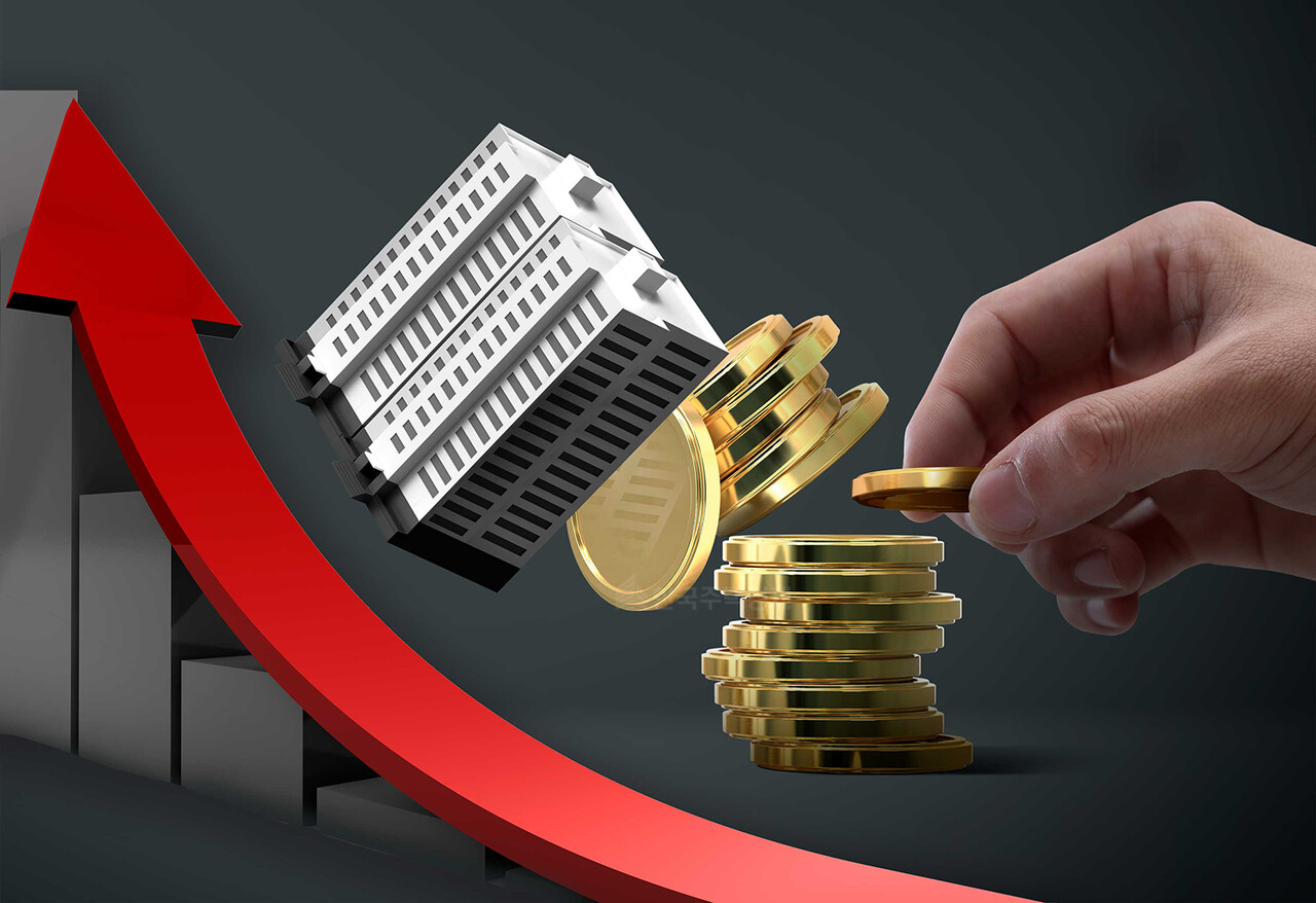 [그래픽=홍영주 기자]