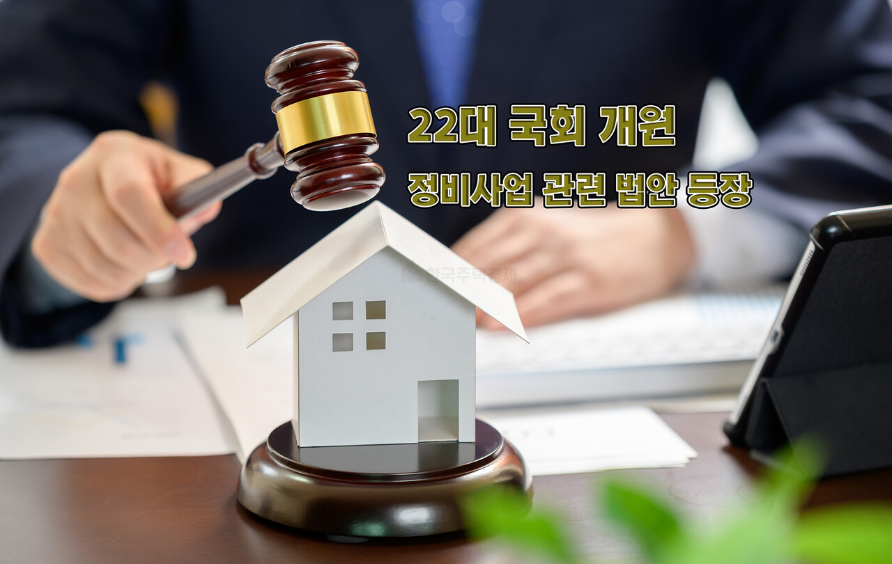 [그래픽=홍영주 기자]