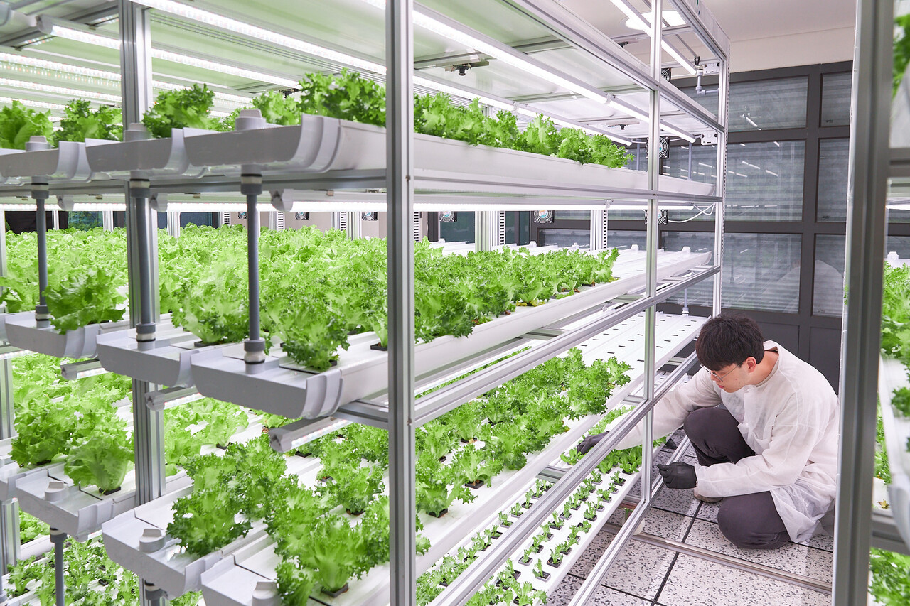 H 클린팜 [사진=현대건설 제공]