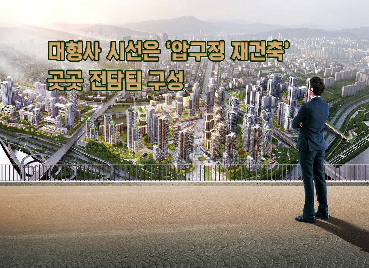 [그래픽=홍영주 기자]