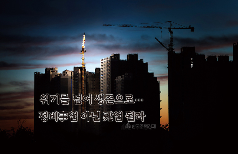 [그래픽=홍영주 기자]