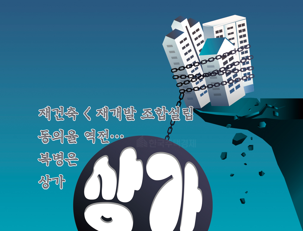 [그래픽=홍영주 기자]