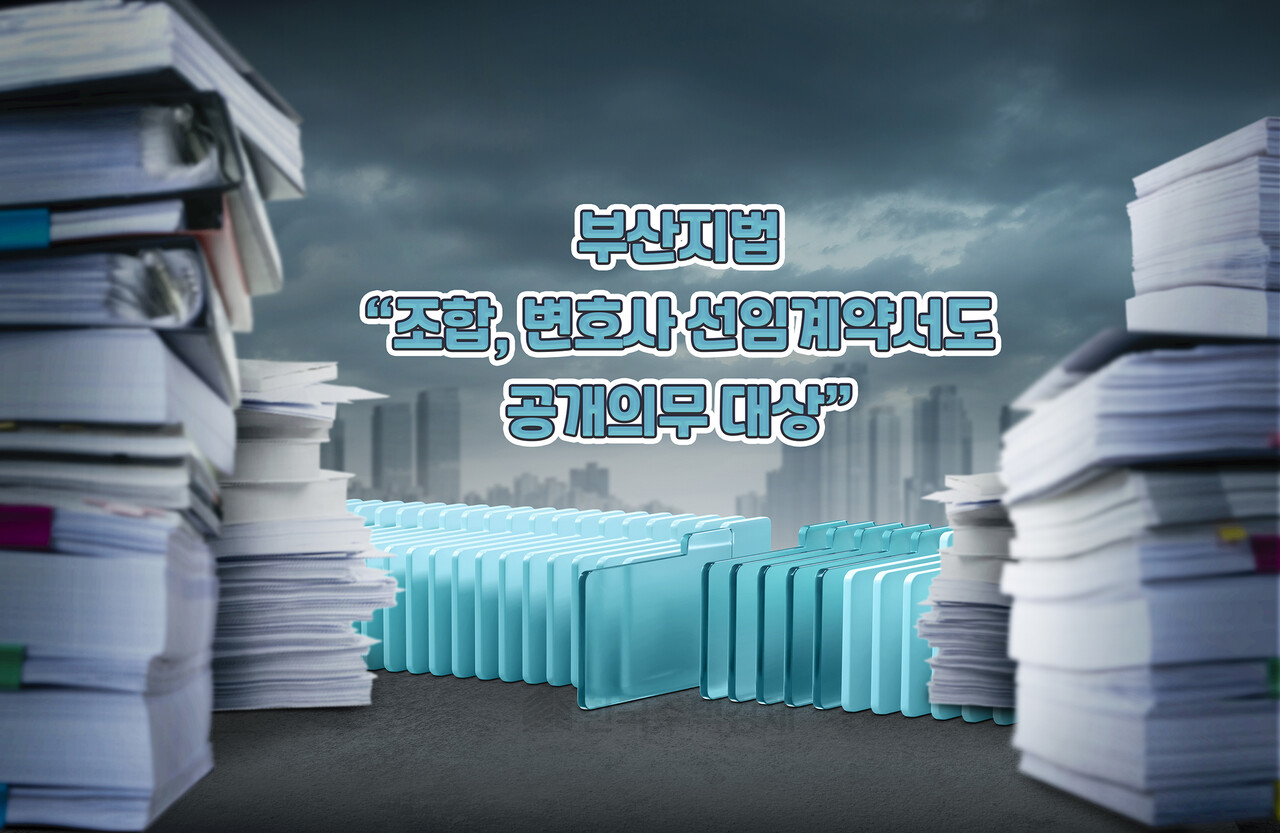 [그래픽=홍영주 기자]