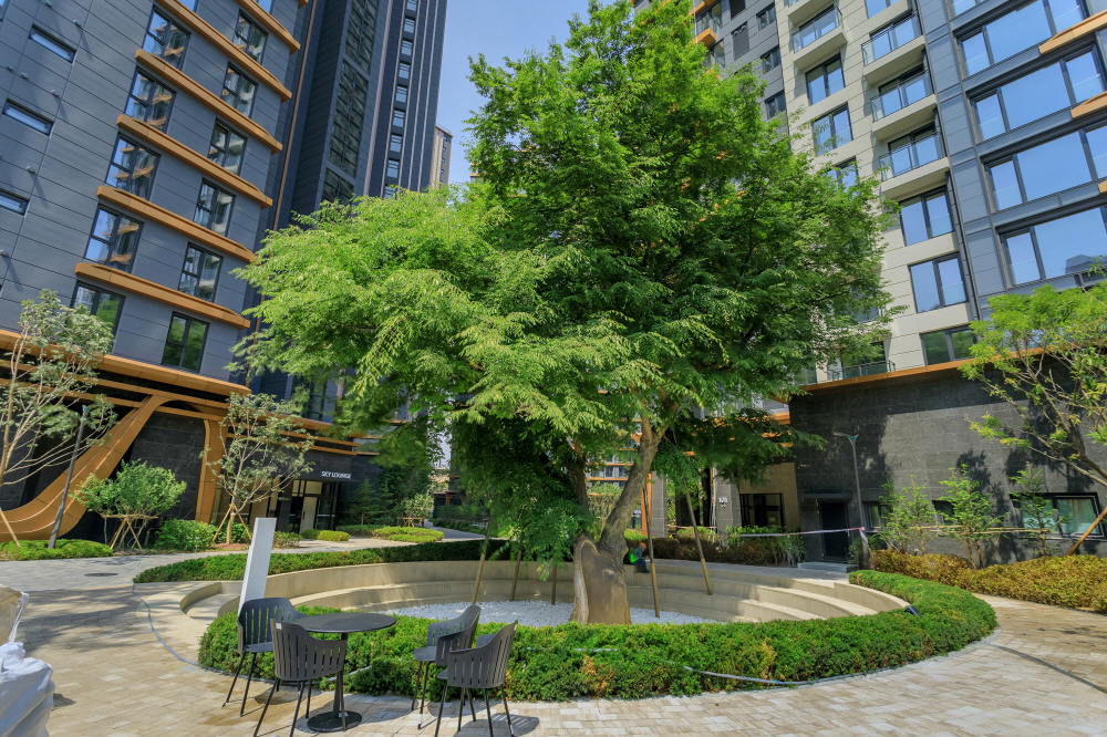 래미안 원펜타스 보호수 조경 [사진=삼성물산]